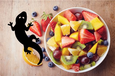 Can Leopard Geckos Eat Fruit Food List Table Included