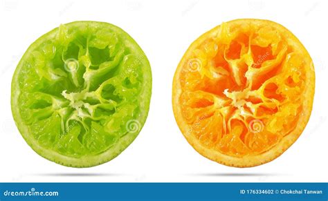 Orange Fresh Fruits Cut Half Or Orange Slice Segment Isolated On White