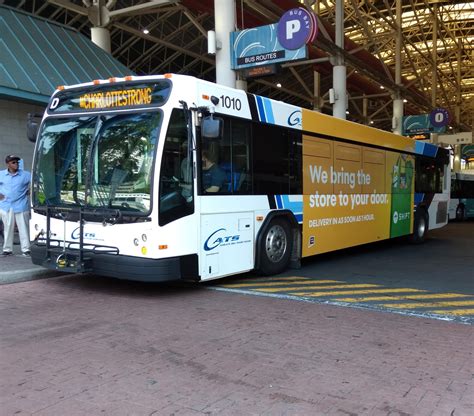 View Cats Bus Route 54 Photography – Pets House