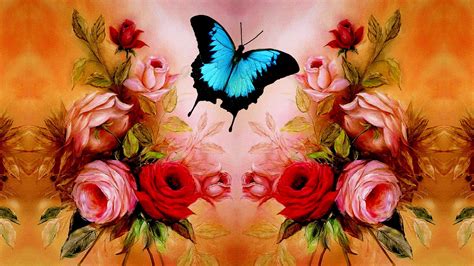 Butterfly Roses Wallpaper Colorful Wallpaper Better