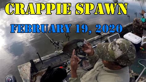 Crappie Spawn Fishing February19th 2020 Eps31 Youtube