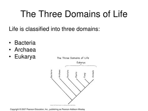 Ppt Classifying Living Things Powerpoint Presentation Free Download