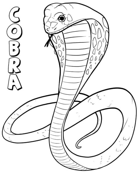 Desenho Para Colorir Cobra Full Colorir Sexiz Pix