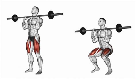 How To Squat Correctly Learn Proper Squat Form