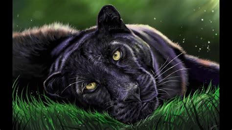 Digital Speed Painting Black Leopard Artrage Youtube