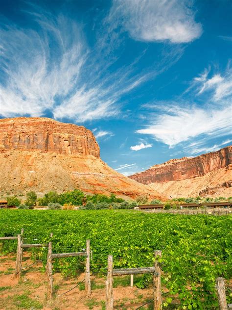 Moab Utah Explore The Finer Side Desert Travel Trip Wine Country