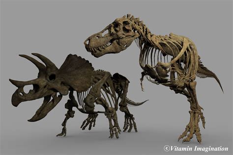 Vitamin Imagination Tyrannosaurus Vs Triceratops 2017 By Vitamin Imaigination