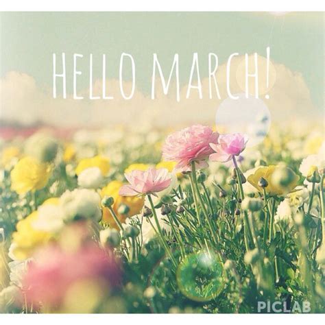Best Collection of Hello March Photos, Pictures, Images and Wallpapers ...