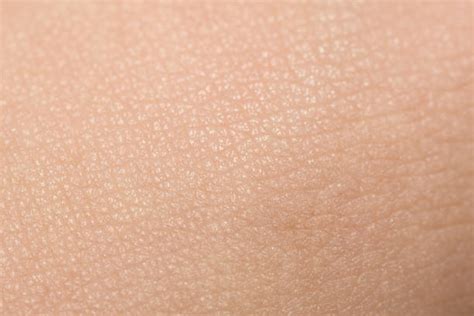 Human Skin Textures