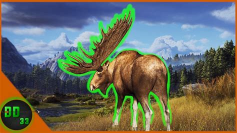 The Biggest Moose Ive Ever Seen Way Of The Hunter Youtube