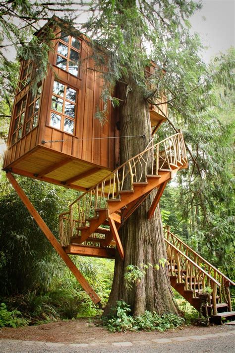 thp1 cool tree houses tree house designs tree house