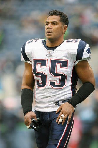 Hernandez, who said he was innocent, did not raise cte in his defense at either trial. Junior Seau, Famed N.F.L. Linebacker, Dies at 43; Suicide ...