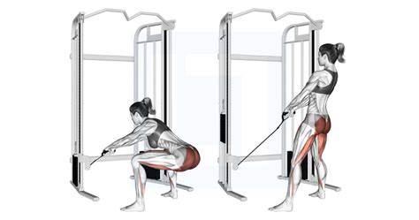Lever Seated Hip Adduction Guide Benefits And Form