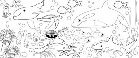 550 Gambar Hewan Laut Untuk Anak Tk Gratis Terbaru Gambar Hewan