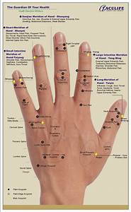 Hand Reflexology Charts