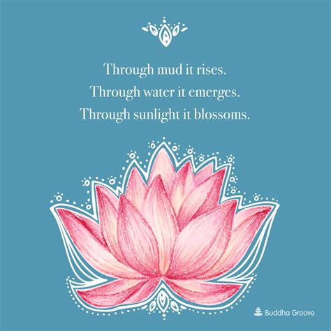 See more ideas about water lilies, inspirational quotes, quotes. Inspiration from the Lotus Flower (With images) | Lotus flower art, Lotus flower meaning, Water ...