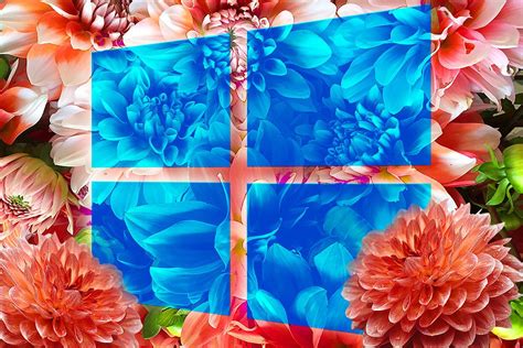 15 Selected Spring Wallpaper Windows You Can Use It At No Cost