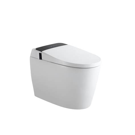 One Piece Dual Flush Integrated Bidet And Toilet