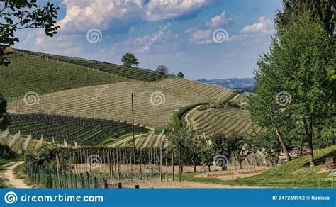 The Vineyards Of Barolo In The Piedmontese Langhe Stock Photo Image