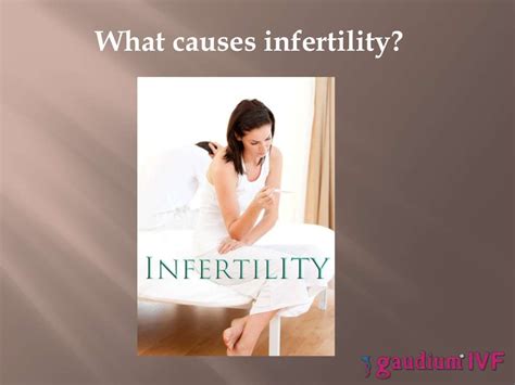 Female Infertility Gaudium Ivf And Gynae Surrogacy Centre