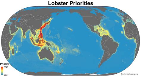 Mapping The Diversity Of The Worlds Lobsters