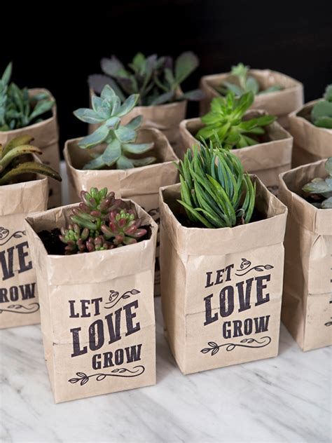 Omg These Diy Let Love Grow Succulent Wedding Favors