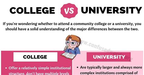 Whats The Difference Between University And College Differences