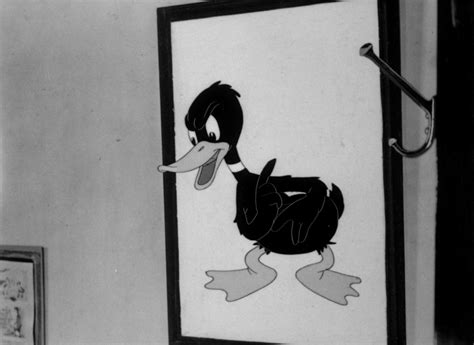Looney Tunes Pictures You Ought To Be In Pictures