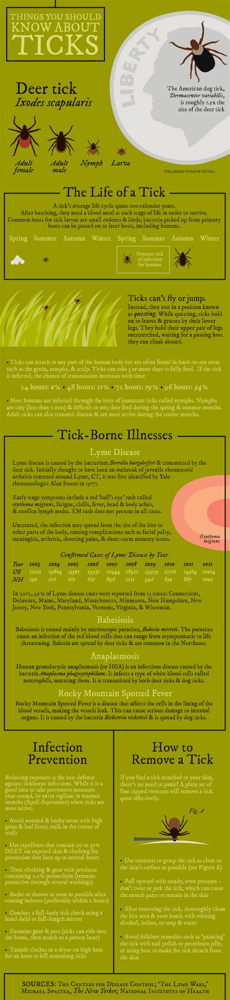 Things You Should Know About Ticks Infographic New Hampshire Public