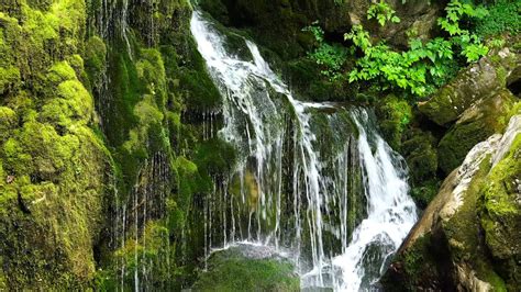 Sounds Of Naturesamcheok Mugun Ri Moss Valley 자연의소리 힐링스페셜 쉼 Asmr강원도