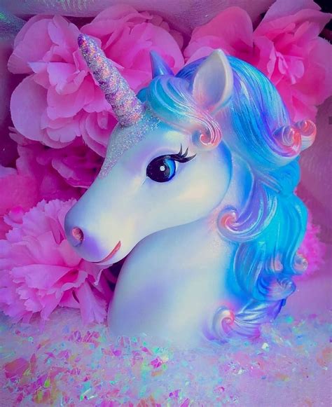 Unicorn Life Real Unicorn Unicorn Horse Little Unicorn Cute Unicorn