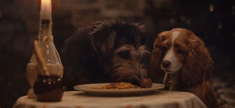 ‘lady And The Tramp’ New Trailer For Disney Live Action Adaptation Ybmw