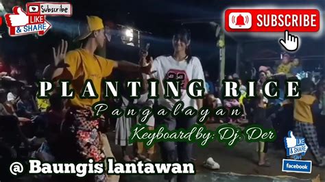 Planting Rice Pangalayan Music By Dj Der Live Baungis Lantawan
