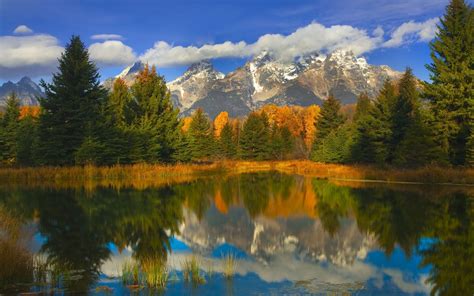 Free Download 1920x1200 Autumn Season Wyoming Grand Teton National Park
