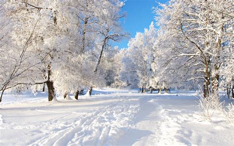 200 Beautiful Snow Scenery Wallpapers Ideas Left Of The
