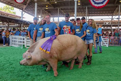 Captain Claims Big Boar Title At Iowa State Fair National Hog Farmer