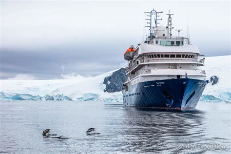 Its a massive game for both sides who will be looking to start their tournament with a win. South Georgia Antarctica Cruise | Far South Expeditions