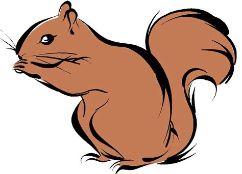 Cute Brown Squirrel Clipart Free Image Download