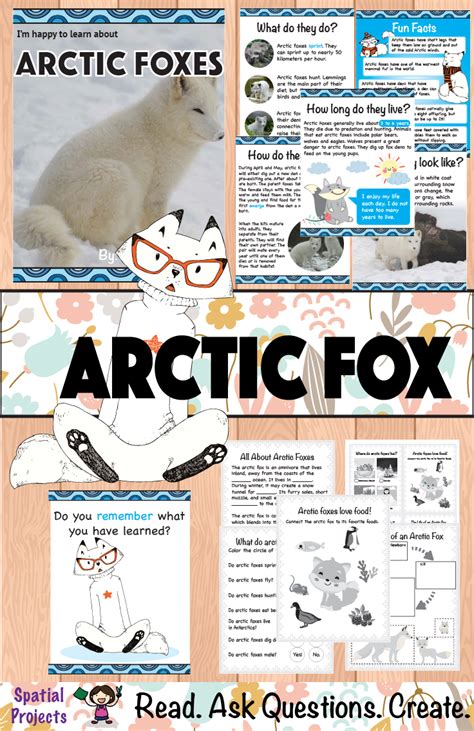 All About Arctic Foxes Nonfiction Animal Writing Animal Writing