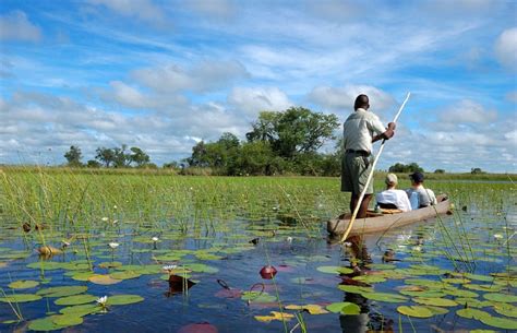 Okavango Delta Safaris And Tours Safari In Okavango Delta Discover
