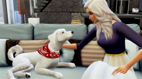 The Sims 4 Cats And Dogs