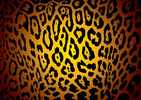 Pictures Of Cheetah Print Wallpaper 55 Pictures