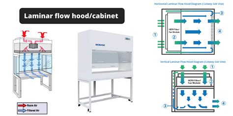 Laminar Flow Hoodcabinet Definition Parts Principle Application