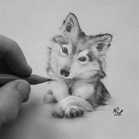 Pin By Pinky On Drawing Animal Drawings Sketches Animal Drawings
