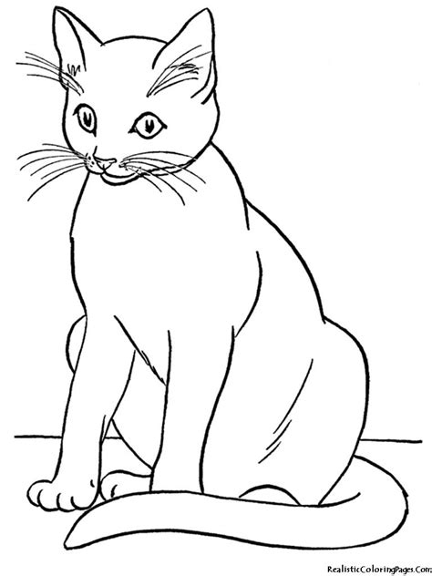 Realistic Kitten Coloring Pages Cat Coloring Book Animal Coloring