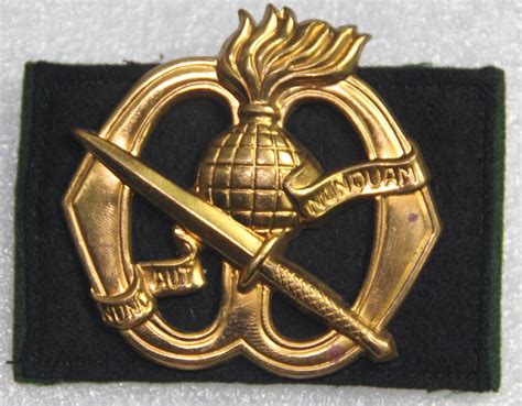Korps Commandotroepen Beret Badge Royal Netherlands Army Military