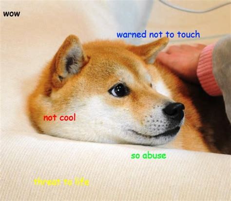 The 25 Best Doge Meme Ideas On Pinterest Doge Funny Doge And Doge