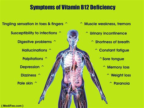 Symptoms Of Vitamin B12 Deficiency By Medifee Digestion Problems