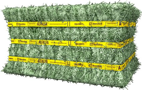 Certified Alfalfa Compressed Bale Standlee Forage