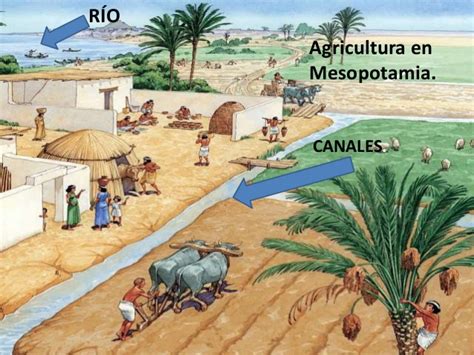 Modo Agrario Las Primeras Civilizaciones Agricolas